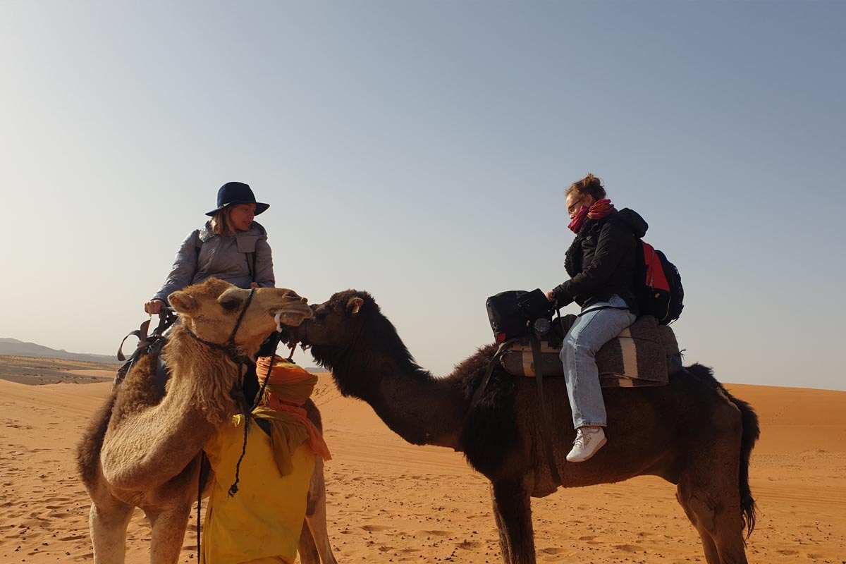 fes desert tours 2 days back to fes