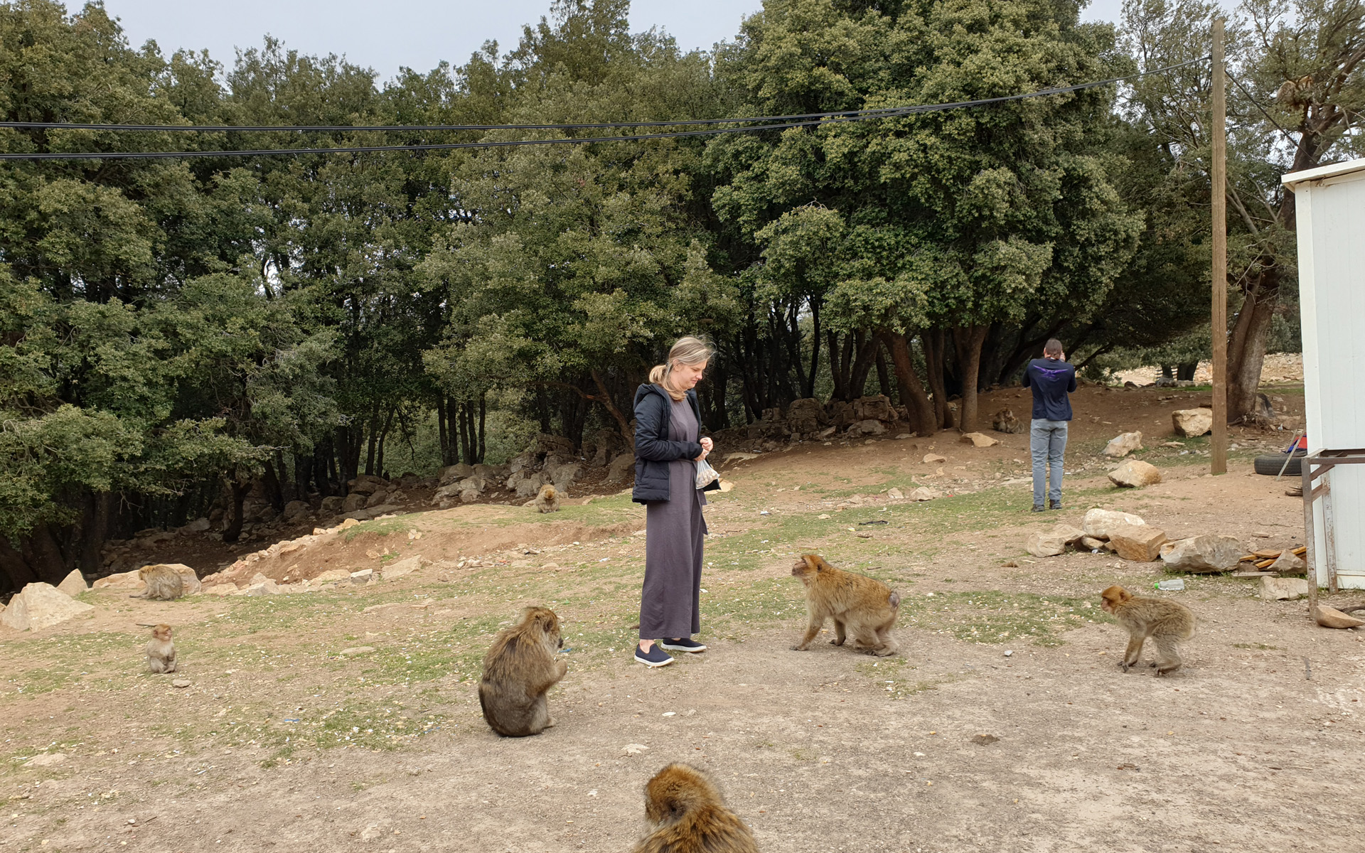 Middle Atlas Day Trip